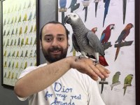 GEVEZE ÇOK KONUŞAN JAKO PAPAĞANI