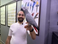 Cümle Kuran 200 Kelime konuşan Jako papağanımız