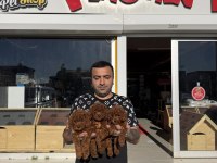 WC EĞİTİMLİ TOY PODLE YAVRULR MALTİPO YAVRULAR ANKARA