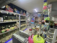 ELE ALIŞIK HAMSTER ANTALYA HAMSTER ÇİFTLİĞİ