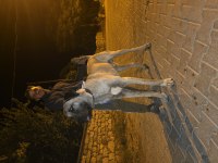 10 AYLIK ERKEK KANGAL DEV YAVRU
